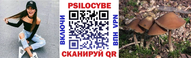 Галлюциногенные грибы Psilocybine cubensis  цены наркотик  Енисейск 